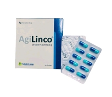 AgiLinco 500mg (10 vỉ x10 viên)(agimexpharm)